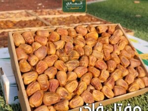 مفتل فاخر