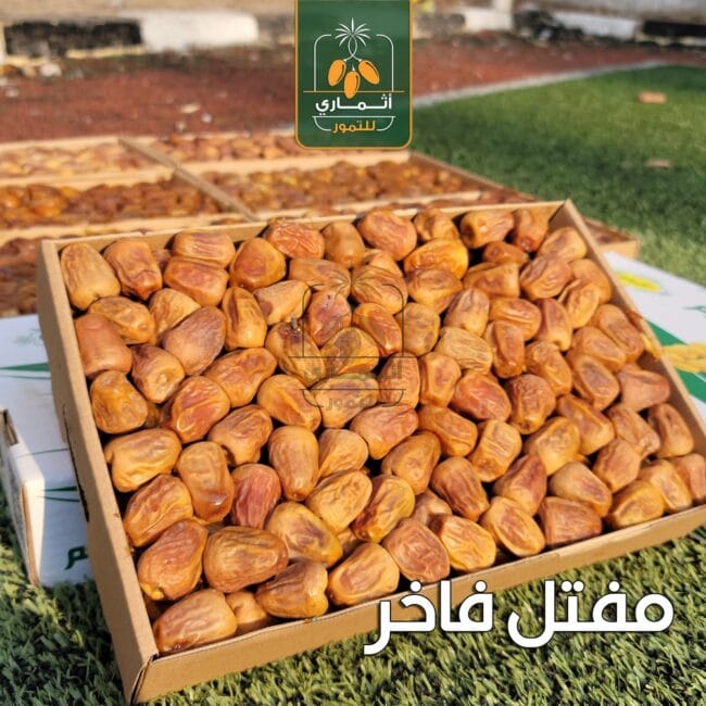 مفتل فاخر