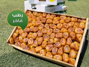 رطب سكري القصيم – كرتونة أثماري