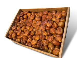 رطب القصيم د. أولي